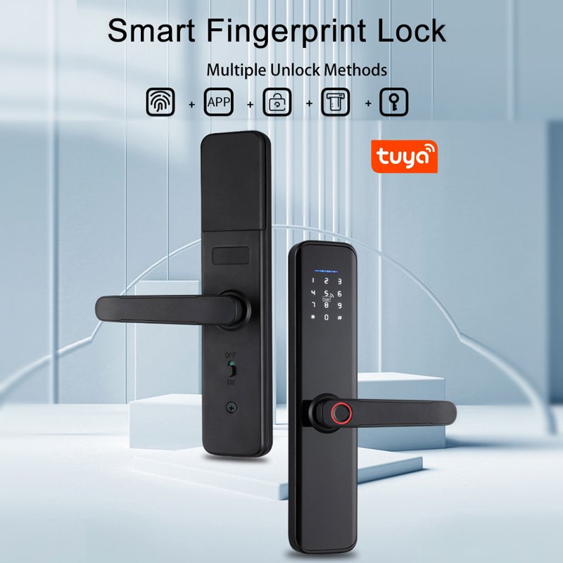 Graffiti Intelligent Door Lock Home Entry Door Bedroom Door Fingerprint Password Lock Office Anti-theft Lock