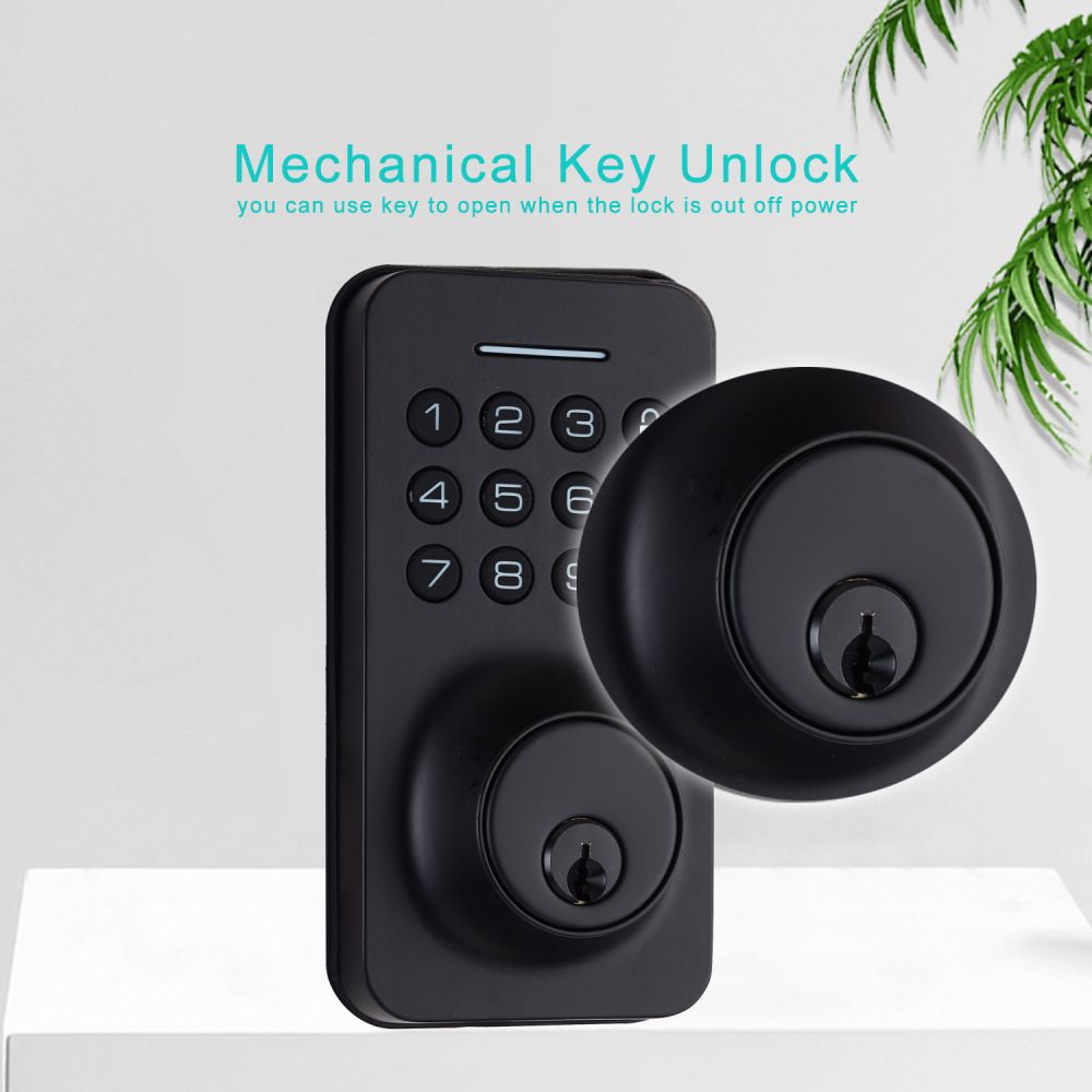 Graffiti Interior Wooden Door American Latch Intelligent Swipe Card Remote Send Combination Lock