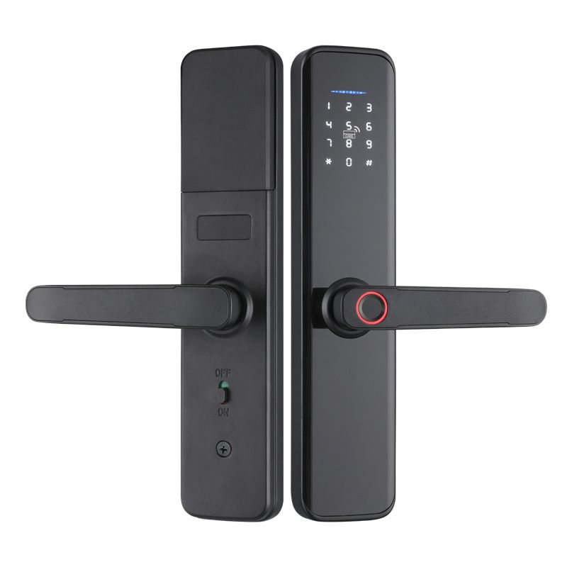 Graffiti Intelligent Door Lock Home Entry Door Bedroom Door Fingerprint Password Lock Office Anti-theft Lock