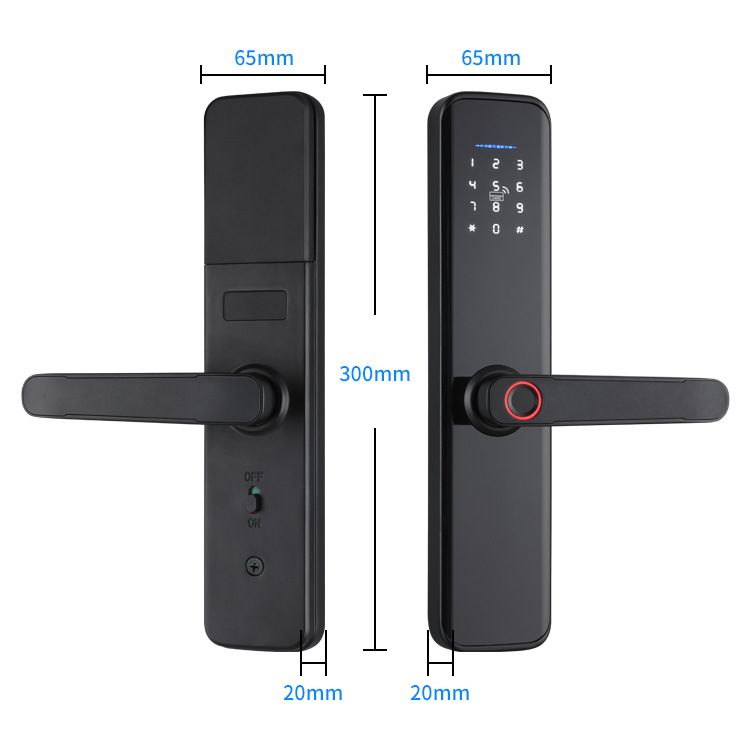 Graffiti Intelligent Door Lock Home Entry Door Bedroom Door Fingerprint Password Lock Office Anti-theft Lock