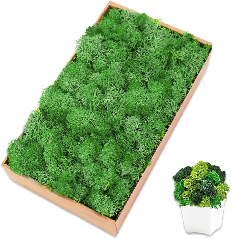 Perpetual moss fake moss plant wall planting decorative handmade accessories flower material artificial moss simulation moss