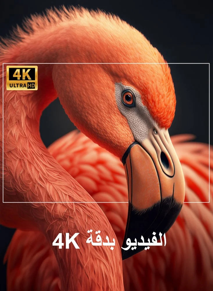 بروجيكتور بدقة 4K، عالي الجودة، سهل الحمل والنقل داخل وخارج المنزل، نظام أندرويد 11 مع واي فاي، متوافق مع جميع أجهزة التلفزيون، يحتوي على مدخل HDMI ومنفذ USB لأجهزة بلاي ستيشن وآبل وأندرويد